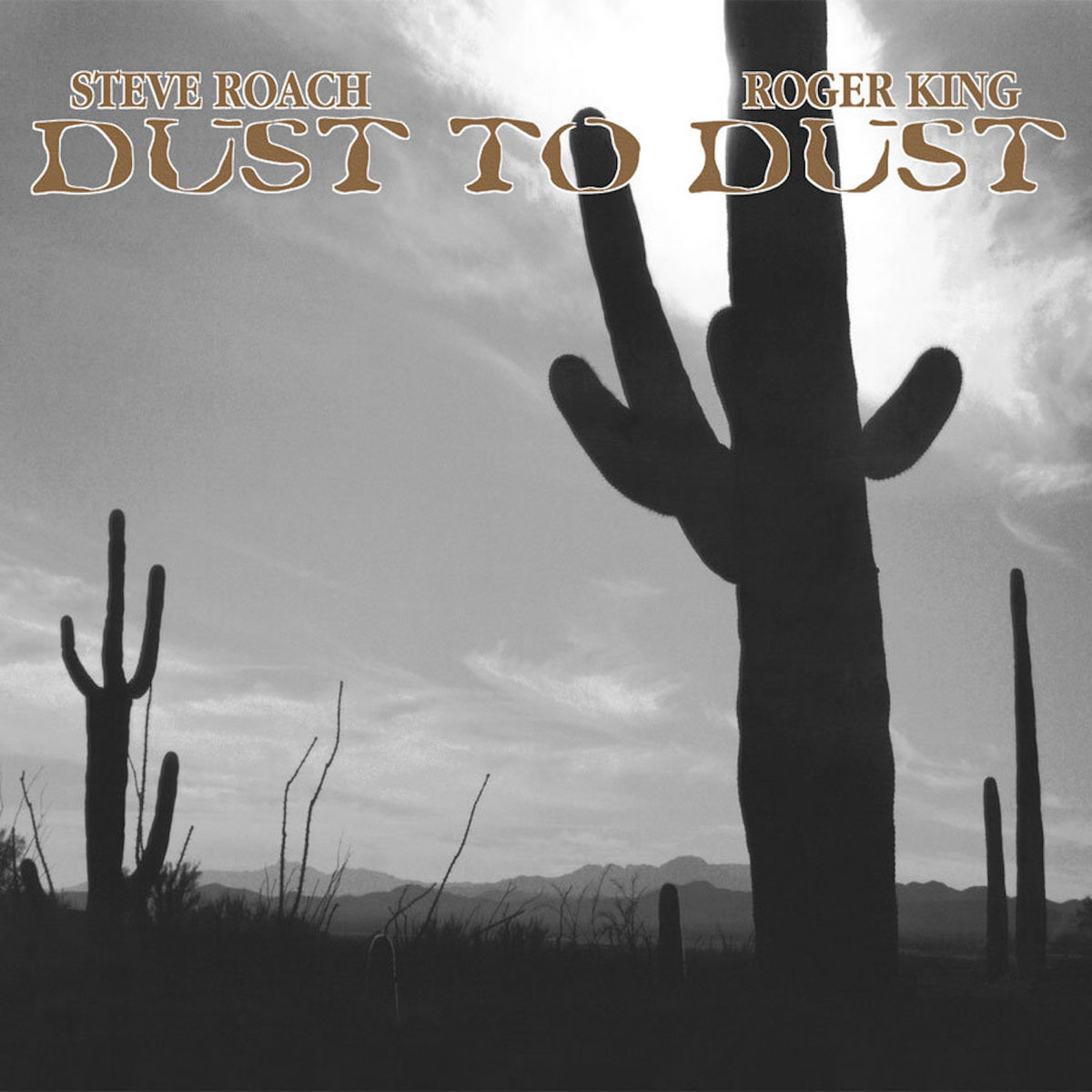 Dust to Dust Steve Roach