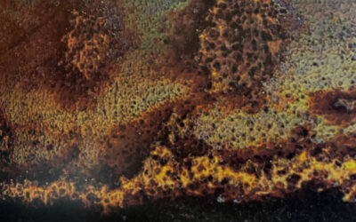 The Surface Below – Immersion Six